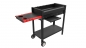 Preview: Mangal Grill Schaschlikgrill aus Stahl Redliner Comfort Lift Air